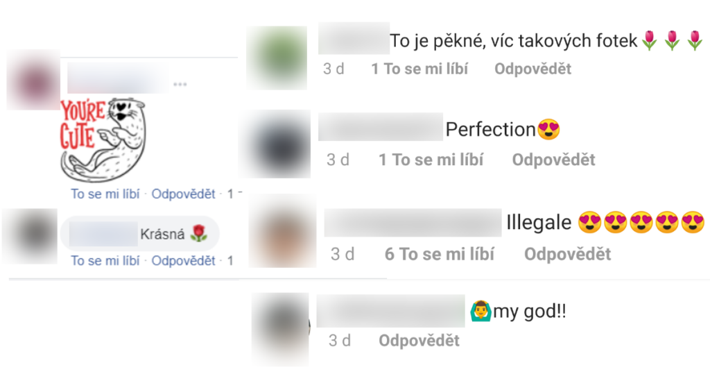 Chroničtí dopisovatelé na sociálních sítích v akci.